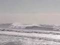 East Swell - September 08