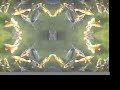 Fish Dance