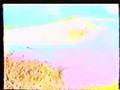 zahle war القوات اللبنانية - الشعبة الخامسة - معركة زحله 3