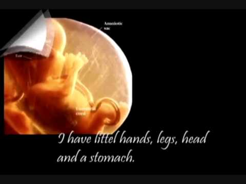Female Foeticide in India : Stop it
