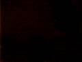 videos de My place