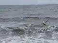 cape-cod-surf-kayaking-by-david-harmon.html
