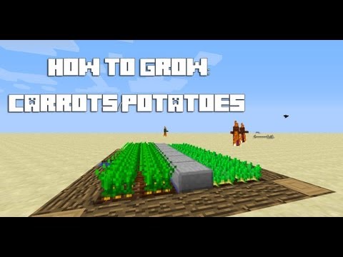 how to replant potatoes in minecraft