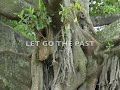 The Harmony of Love 43