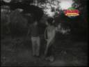 rajababu song in ntr deeksha rajababu song in ntr deeksha
