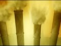 music video for the wire daisies commissioned by emi/transistor. produced by outside line, directed by blanke.