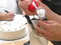 Piping Roses - I