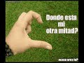 grupo bryndis quiero volver a verte
