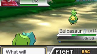 pokemon mega adventure. zag was a dumb child