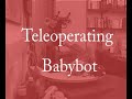 Teleoperating Babybot - ROBORAMA.info