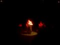 The Cell Block Tango - soho