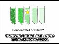 Concentration with hebrew subtitles Concentration with hebrew subtitles