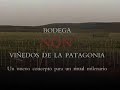 nqn winery   neuquén   patagonia