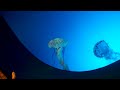 jellyfish are neat