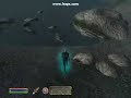 Polymorph TRAILER 1