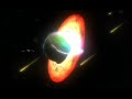 Cygnus Cygnus