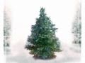 Crosby Stoner Why Doesn't Anyone Write A Good Christmas Song Anymore? Official Music Video and Lyrics