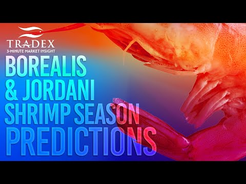 3MMI - Pandalus Borealis and Jordani Shrimp Market Update; It’s a Buyer’s Market