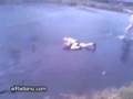 videos de Chapuzón Helado
