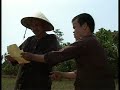 Bác Ba Phi Lên Phố, Tiểu Phẩm Hài Bác Ba Phi