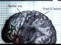 EL PODER DE LA MENTE, un cerebro superdotado - parte 2 de 6 -