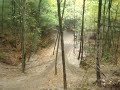 MOV03940