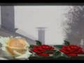 videos de şehitler kervanı - zindan gülistandır bize.wmv