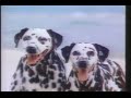 沖縄の海　/ ANA 全日空