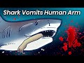 Shark Vomits Arm In Public Aquarium