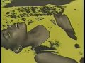 enjoy this great video