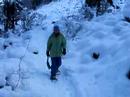 Snow Shoer