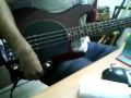 Musicman bass + mutes video
