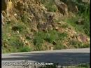 bmw-5-series-drive-along-autobahn.html