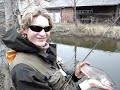 Flyfishing for Brooktrout Flyfishing for Brooktrout