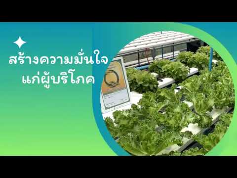 ประชาสัมพันธ์กิจกรรมรณรงค์วันความปลอดภัยอาหารโลก ประจำปี 2568