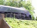 Bittern with Wimbledon Park Headboard Up The Bank
