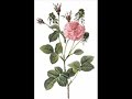 Meanaxi 2- hindi [HIS MASTERS VOICE] 78rpm