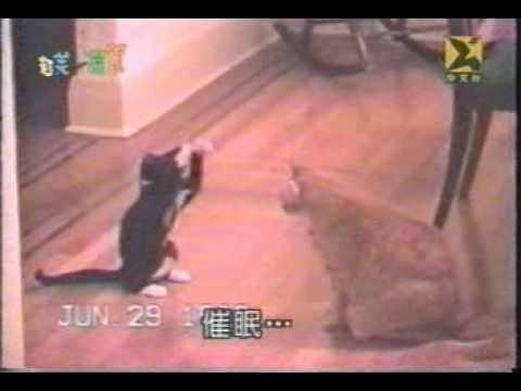 See video
