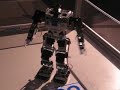 Dancing Robot