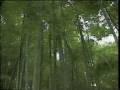 ふるさと探訪