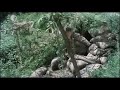 cross of iron   battle scene ww ii   eastern front
