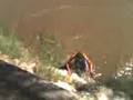 videos de salto desde la barranca kasjkajs