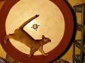 Abyssinian cat in exercise wheel