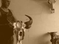 ®Buffalo-Skull.com - We sell buffalo skulls