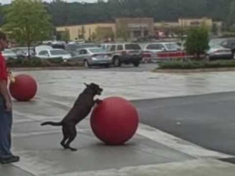 forsyth county ga forsyth county ga