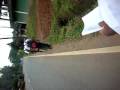 Freedom Walk