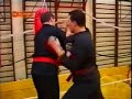 Viet Vo Dao Polska, reportarz