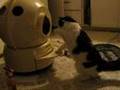 My Cat and the Litter Robot