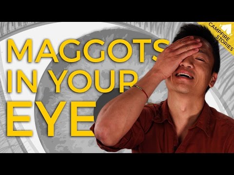 What to do When There are Maggots in Your Eyeball | National Geographic