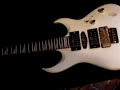 Washburn CS780
